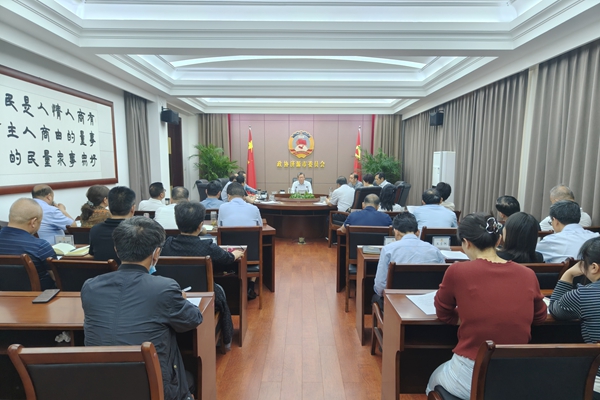 市政协召开党组扩大会议
